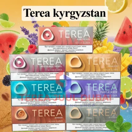 IQOS Terea Kyrgyzstan