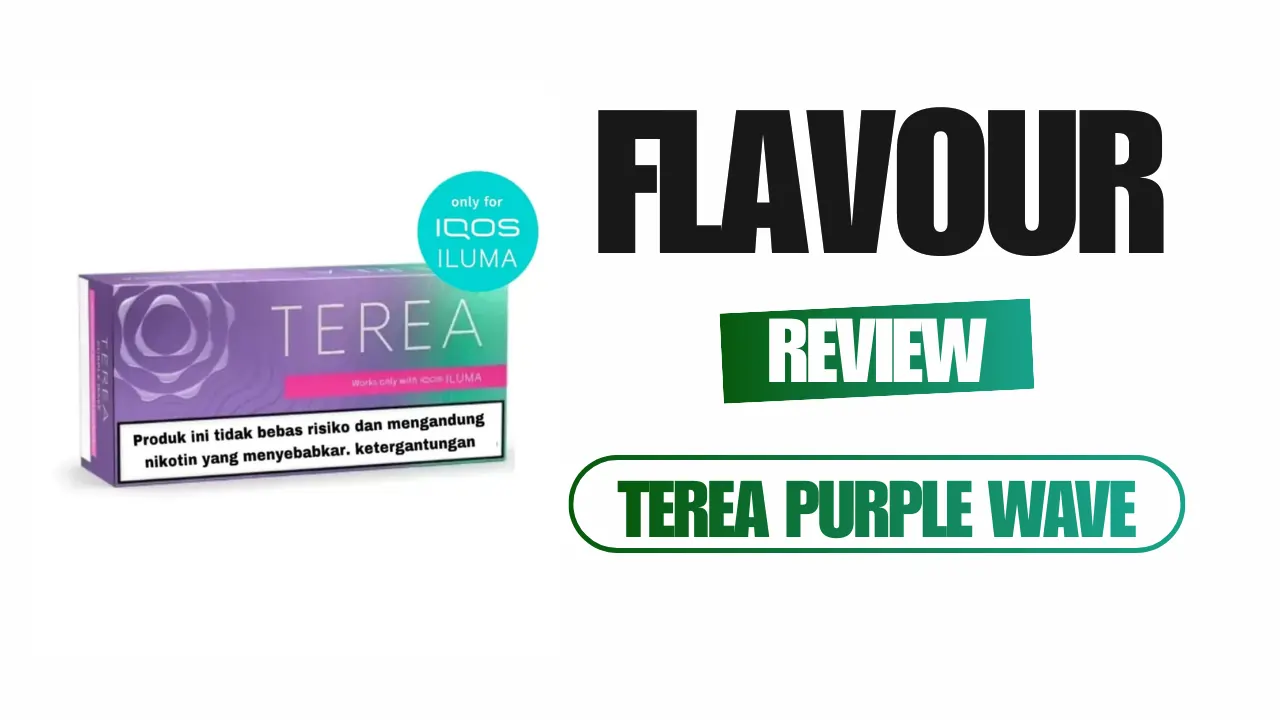 Terea Purple Wave Flavor